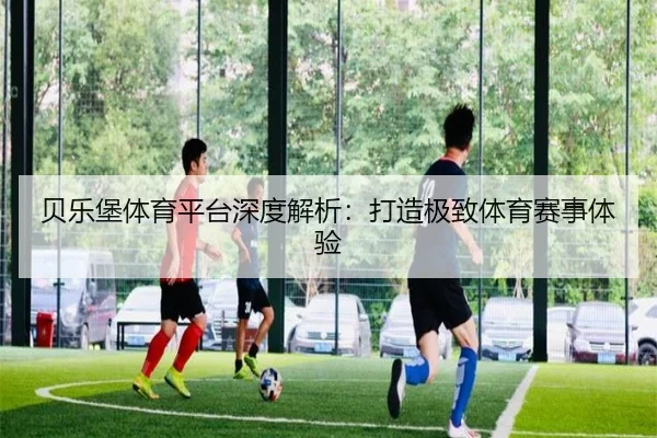 贝乐堡体育平台深度解析：打造极致体育赛事体验