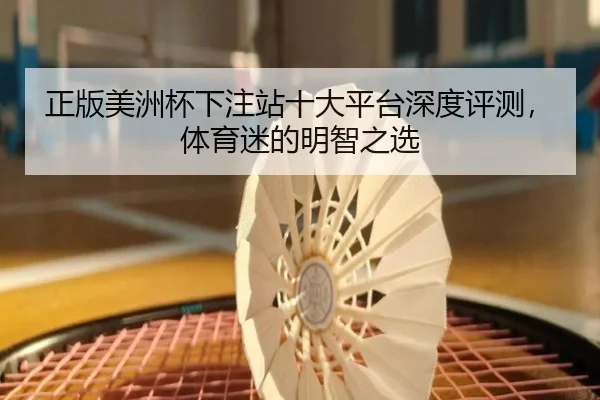 正版美洲杯下注站十大平台深度评测，体育迷的明智之选